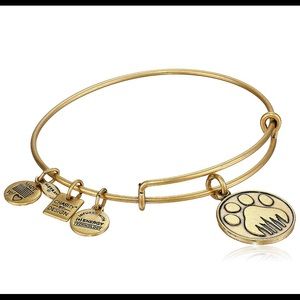 Alex and Ani Charity By Design Paw Print Bangle